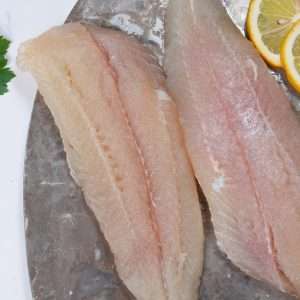 Fish Fillets